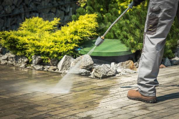 Best Animal Enclosure Cleaning  in Athens, MI